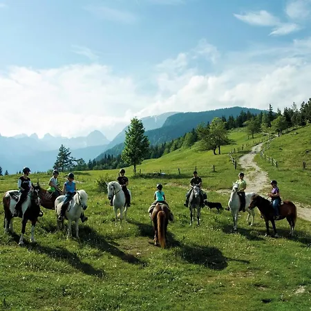 Apartmaji Strud'l Bohinj