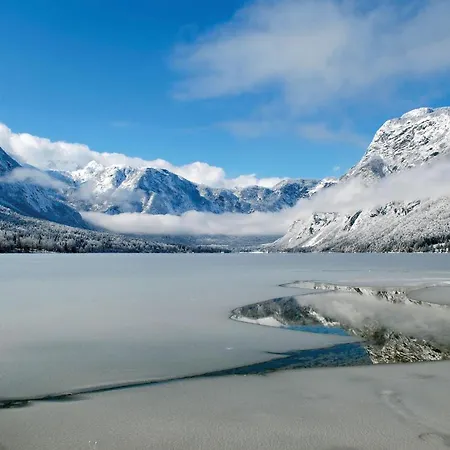 Apartmaji Strud'l * Bohinj