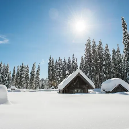 Apartmaji Strud'l * Bohinj