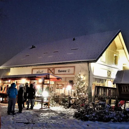 Apartment Apartmaji Strud'l