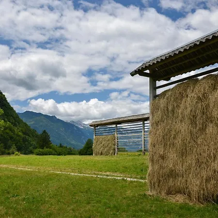 Apartmaji Strud'l Lejlighed Bohinj