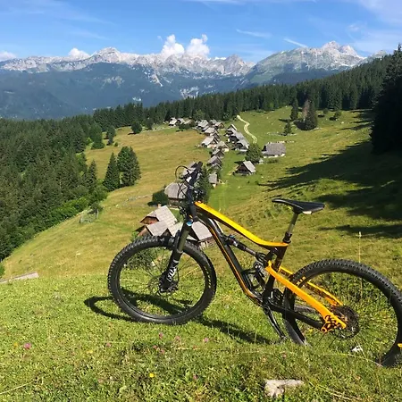 Apartmaji Strud'l * Bohinj