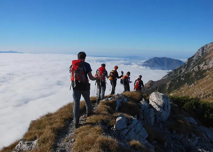 Daire Apartmaji Strud'l