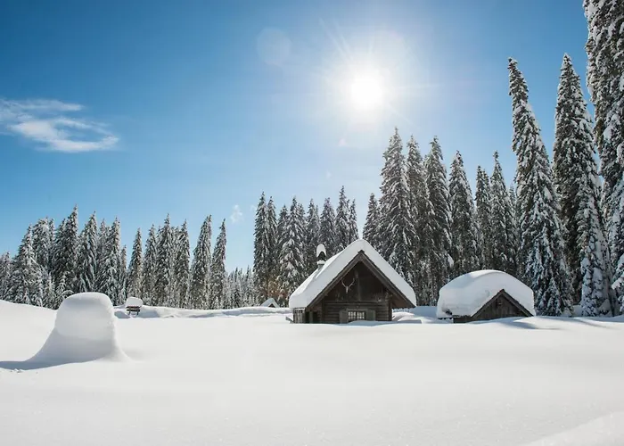 Apartmaji Strud'l * Bohinj