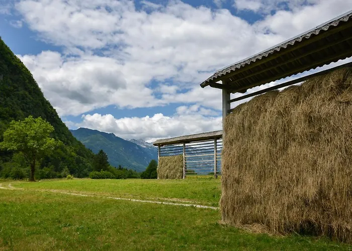 Apartmaji Strud'l Daire Bohinj