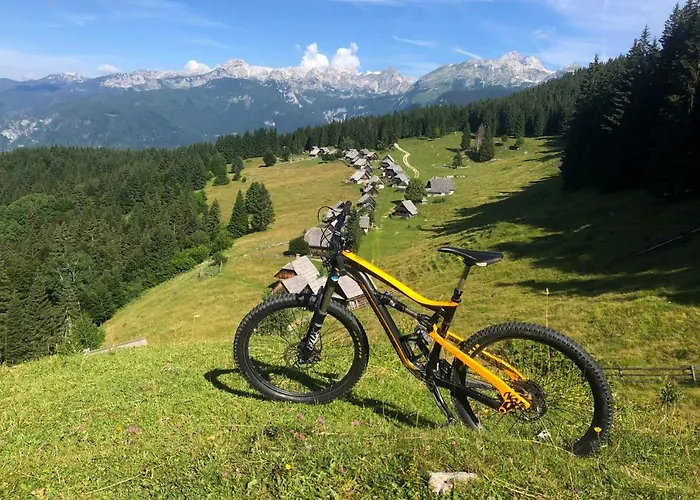 Apartmaji Strud'l * Bohinj